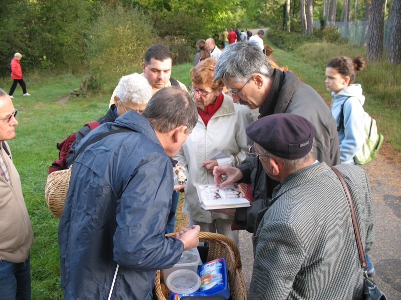 2006 10 Myco Etang d'Or 06